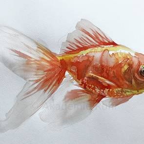 Einen Fisch zeichnen. Tiere mit Aquarell-Farben zeichnen lernen.