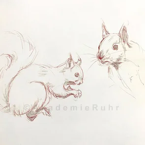 Online Tiere zeichnen lernen
