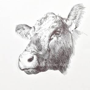 Bauernhoftiere zeichnen hat lange Tradition. Hier ein Beispiel für das Zeichnen von Hoftieren anhand einer Kuh.