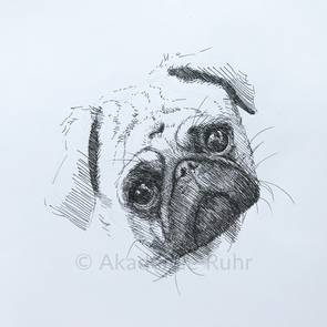 Kugelschreiberskizzen sind eine gute Möglichkeit Tiere schnell zu zeichnen. Hier ein Beispiel für eine Hundezeichnung mit Kugelschreiber.