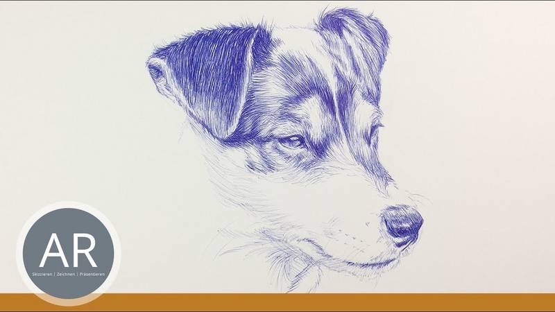 Hunde-Porträt. Tiere zeichnen lernen. Tierstudien. Zeichenkurse mit Akademie Ruhr