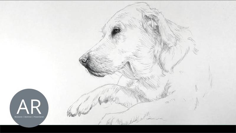 Einfach und schnell Hundeportraits zeichnen lernen
