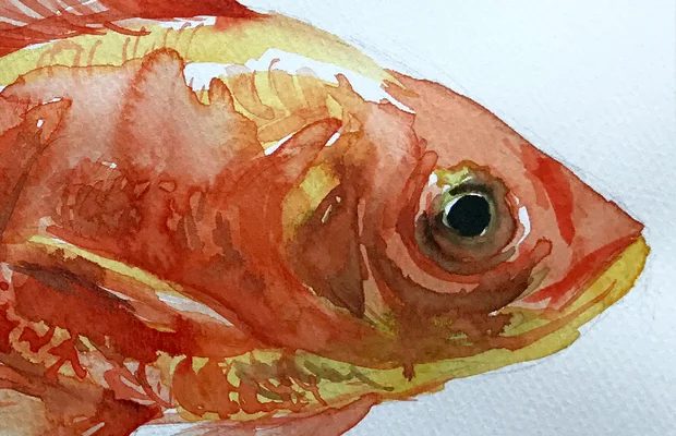 Lerne mit uns, Aquarellskizzen anzufertigen