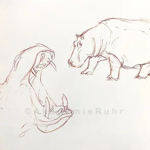 Tiere Zeichnen Online Kurs