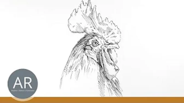 Wie zeichne ich ganz einfach Tiere? Wir zeigen es dir im Zeichenkurs für Anfänger.